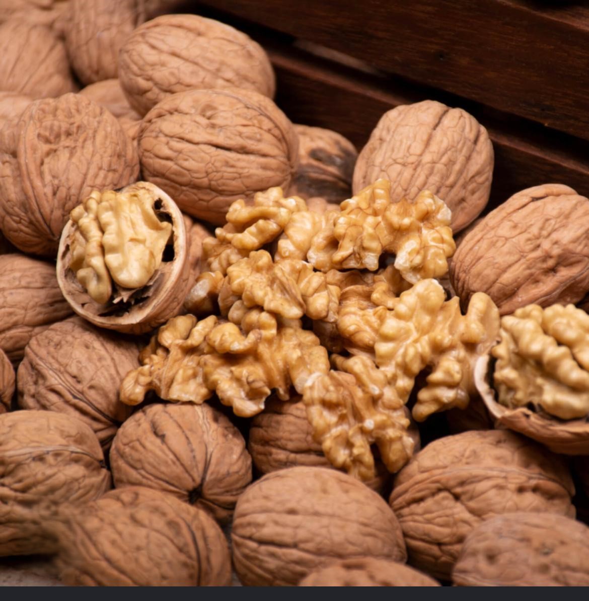 Toptan İthal Ceviz Spesifikasyonları