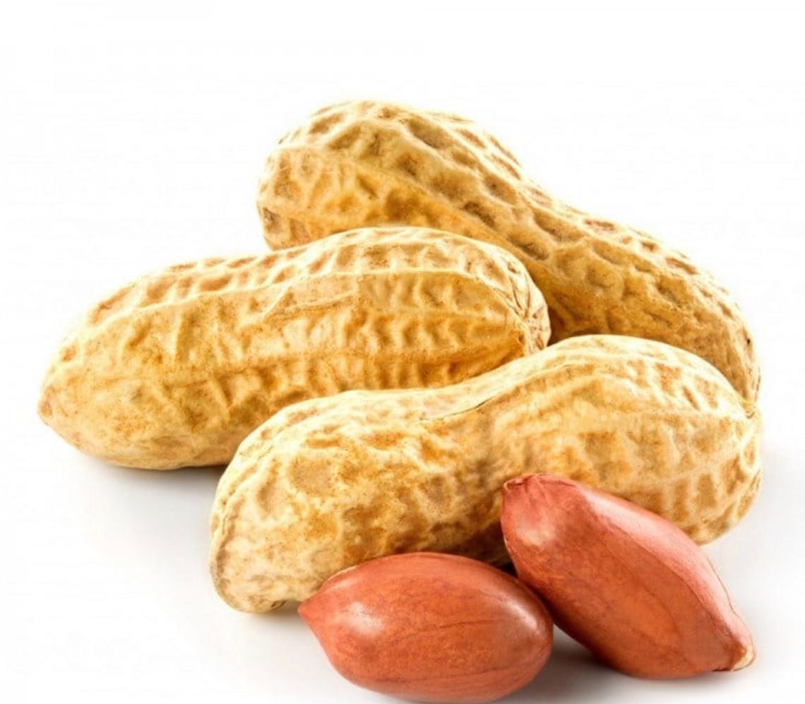 Toptan İthal Yer Fıstığı Ürünleri